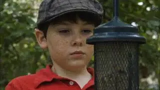 The Boy Who Feeds The Birds - Module 4 Activity
