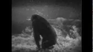 Tarzan, O Filho Das Selvas (Dublado) 1932