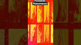 PAREIDOLIA PHENOMENON|PAREIDOLIA IMAGE ILLUSTRATIONS
