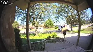 These FedEx Driver's Are Really Grinding My Gears