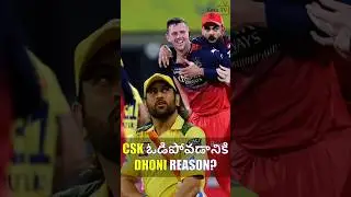 #rcb wins! #rcbvscsk #msdhoni #viratkohli #chepauk #chennaisuperkings #ipl2025 #kekatv #iplupdates