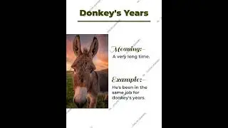 Idiom and Phrase: Donkey's Year