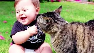 Baby Cats - Cute and Funny Cat Videos Compilation #4 | Just2Minutes