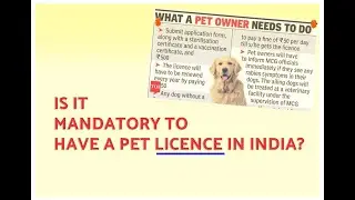 Why you need a Pet Licence in India