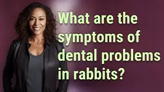 What are the symptoms of dental problems in rabbits?