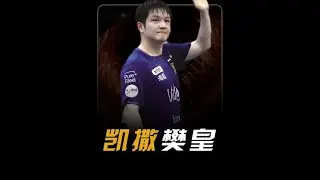 樊振东六小时四战全胜，加冕德甲杯MVP， 超级金满贯的含金量还在上升！#樊振东 #乒乓球 #德甲 #抖音精选