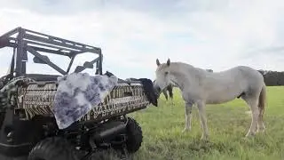 Even Bucking Horses Love Minky Blankets