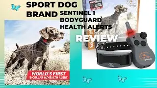 Sport dog brand sentinel 1 bodyguard health alerts review