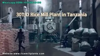 Lower Labor Costs with Our Fully Auto 30T/Day Rice Processing Plant | Tanzania Case#ricemill