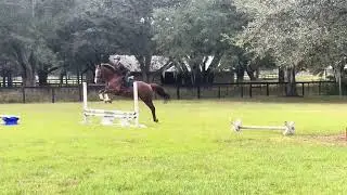La La jump school November 2025