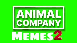 Animal company memes 2