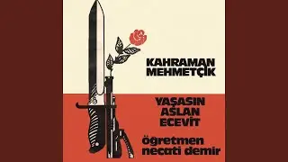 Kahraman Mehmetçik