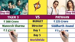 Tiger 3 Vs Pathaan Worldwide Collection Day 5 | Tiger 3 Box Office Collection DayWise