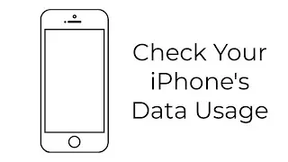 Check Your iPhone's Data Usage