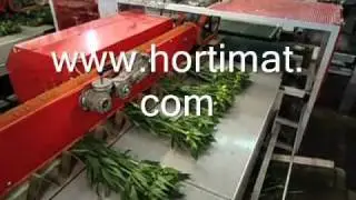 Film BTM T8000.wmv