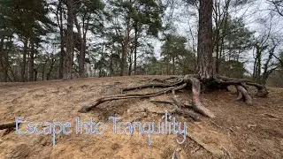 Serene Hillside Walk &ndash; A Peaceful Escape into Nature | 4K 60FPS