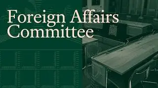 Vitaliy Klitschko, Mayor of Kyiv, speaks to Foreign Affairs Committee