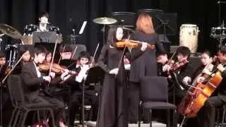 WWP High School South Orchestra - The String Ensemble - Oh, Lady Be Good