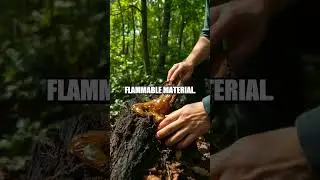 Improvise Your Fire in the Wilderness