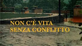 Rondine. There is no life without conflict. Teaser to a Giovanni Panozzo film