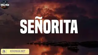 [ Lyric ] Señorita - Shawn Mendes
