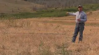 Managing Cheatgrass: Key Considerations