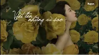 [Vietsub + Lyric] Viết l&ecirc;n những v&igrave; sao - Kenji Wu | 写在星星上 - 吴克群
