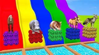 Long Slide Game with Cow Elephant Gorilla Hippopotamus Tiger 3d Animal Game Funny 3d Animals