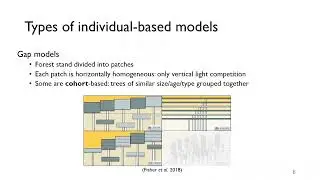 Investigating forest dynamics through individual-based modeling (E-Ping Rau)