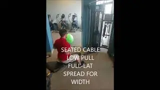 Complete Back Workout machine