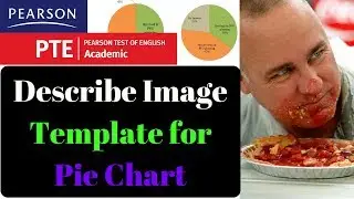 PTE Describe Image Template for Pie Chart