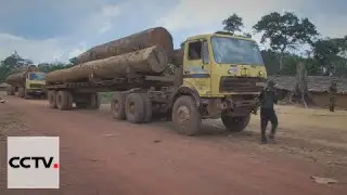 Faces of Africa 04/03/2016 Saving the Congo Forests