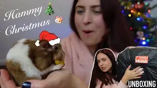 Unboxing a hamster Christmas box from Cosmic Hamsters 🐹