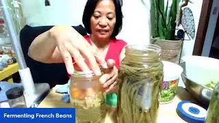 Fermenting Beans