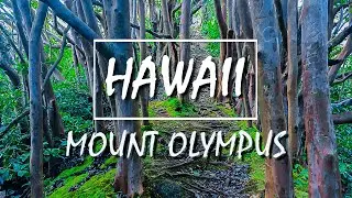 GoPro: HAWAII - Adventure - Mount Olympus Trail