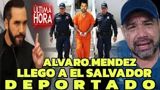 LLEGA A EL SALVADOR ALVARO MENDEZ DEPORTADO DE EE.UU , NO LO PERDONARON SUS ABOGADOS NO PUDIERON