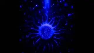 ChaosEvolution - Heptapod Blue [Forthcoming]