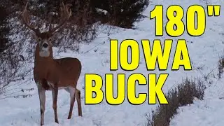 180