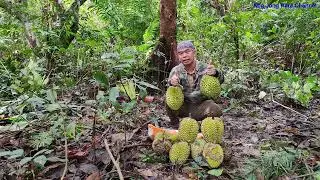Santai sebelum habis musim Raja Buah Durian...tetapi.....tonton sampai habis Kejadiannya...