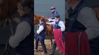 Coolmore &pound;1.5 million filly Minerva returns to parade ring after debut Leopardstown 5th June  2025