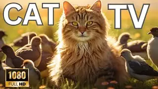 Cat TV: 7 Hours of Playful Birdtopia 🐦 Happy Birds Everywhere 😻