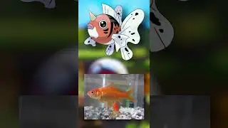 WTF is Seaking?! | EVERY Pok&eacute;mon Design Explained