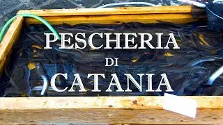 COSE PAZZESCHE alla pescheria di Catania! - Sicily