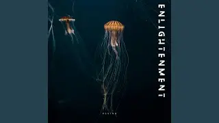 Enlightenment
