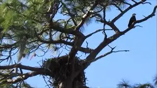 Trouble Creek Road/ RV Travel / RV Travel VLOG