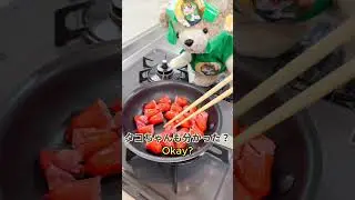 お弁当作ってみた / Making Bento