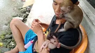 Милая обезьянка наслаждается едой и молоком 🙈🍼 под проливным дождем 😋&hearts;️&hearts;️