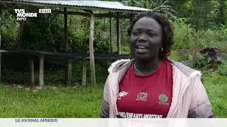 Au Kivu, la récolte du café bât son plein