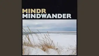 Mindwander