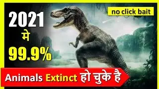 99% Animal Species 2021 Extinct कैसे हुए l NP tv #animalsfacts #animal #short #extinct #dinosaur